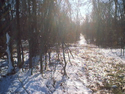 Farm in Winter